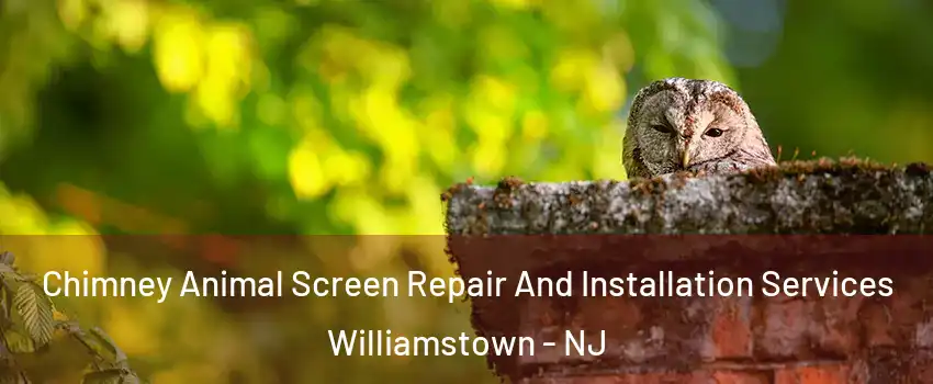  Chimney Animal Screen Repair And Installation Services Williamstown - NJ