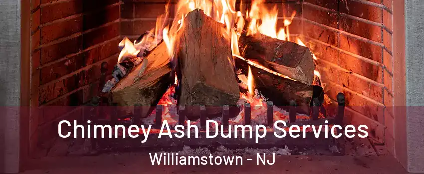  Chimney Ash Dump Services Williamstown - NJ