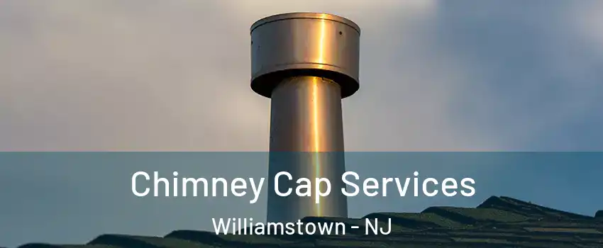 Chimney Cap Services Williamstown - NJ