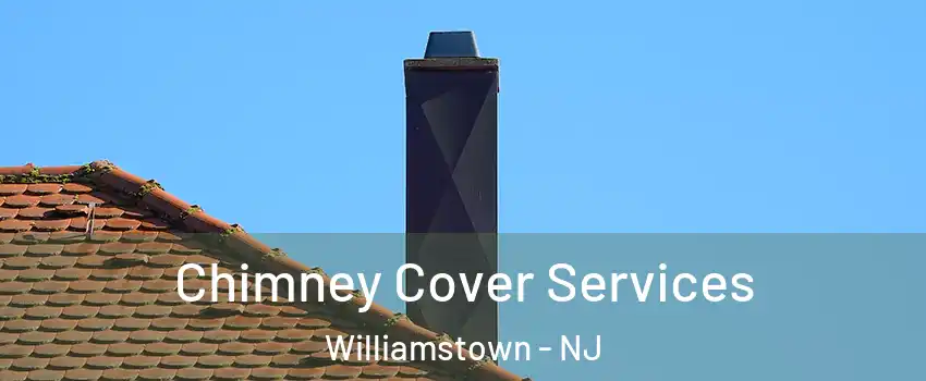  Chimney Cover Services Williamstown - NJ