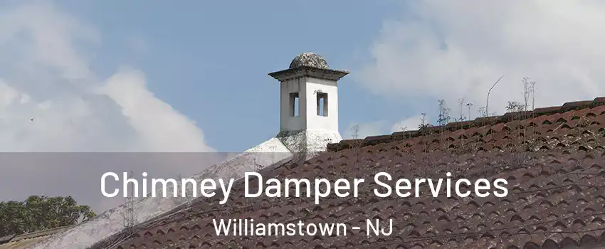  Chimney Damper Services Williamstown - NJ