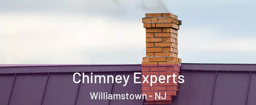  Chimney Experts Williamstown - NJ
