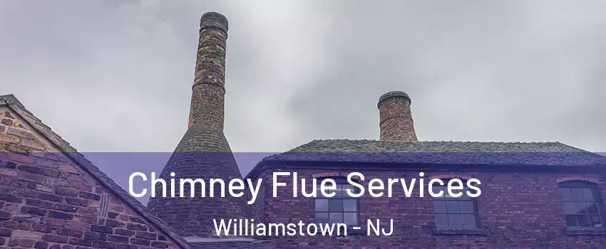  Chimney Flue Services Williamstown - NJ