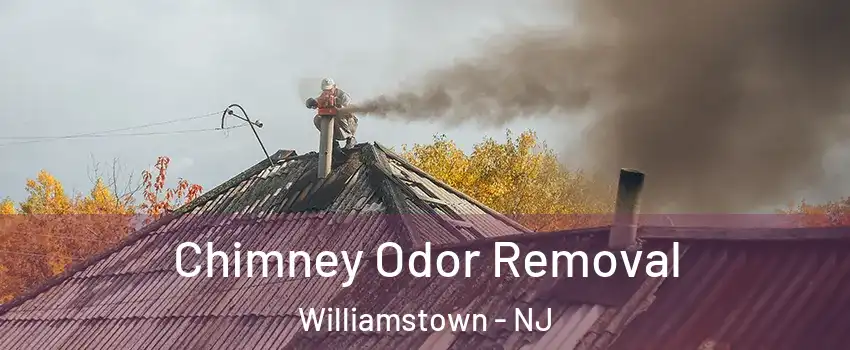  Chimney Odor Removal Williamstown - NJ