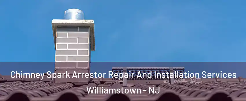 Chimney Spark Arrestor Repair And Installation Services Williamstown - NJ
