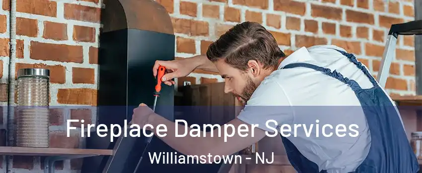  Fireplace Damper Services Williamstown - NJ