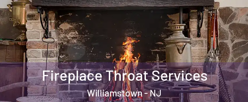  Fireplace Throat Services Williamstown - NJ