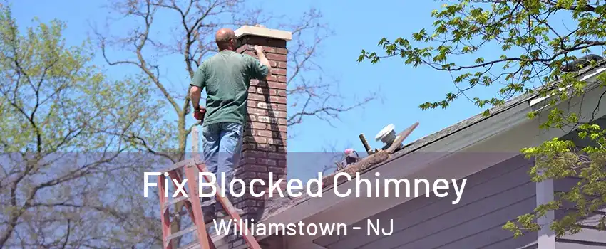  Fix Blocked Chimney Williamstown - NJ