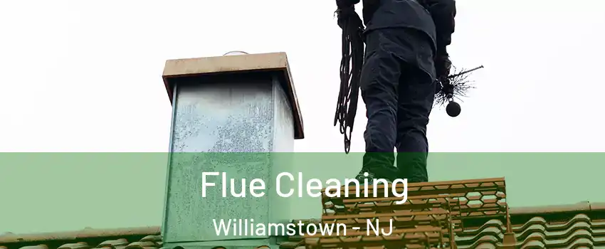  Flue Cleaning Williamstown - NJ