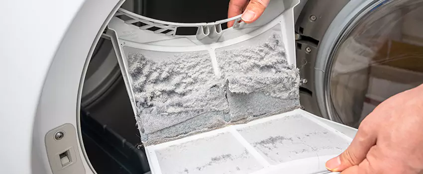 Best Dryer Lint Removal Company in Williamstown, New Jersey