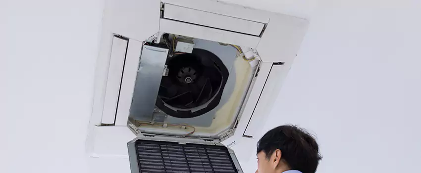 Benefits of Professional Air Duct Cleaning in Williamstown, New Jersey
