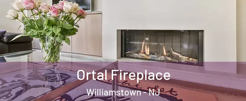  Ortal Fireplace Williamstown - NJ