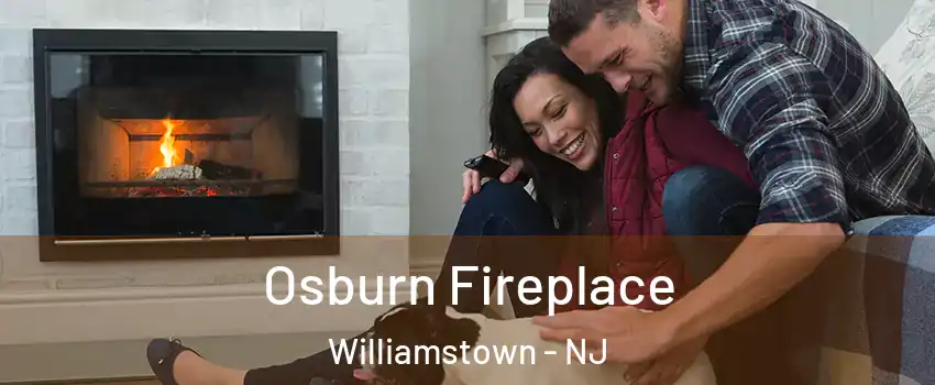  Osburn Fireplace Williamstown - NJ